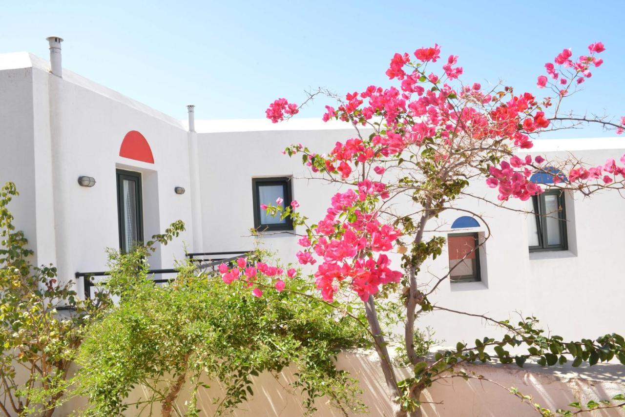 Paradisia Villas Naxos City Kültér fotó