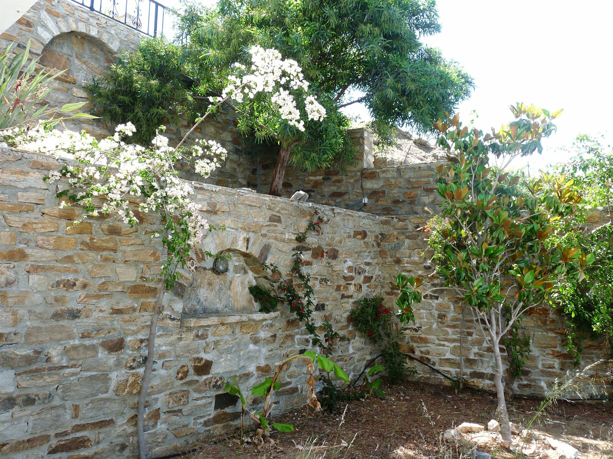 Paradisia Villas Naxos City Kültér fotó